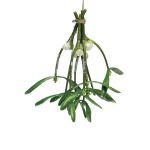 Dekorativ bukett med vitbärig mistel NUORAN, fryst, frukter, grön, 15cm