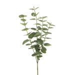 Konstgjord eukalyptusgren MINJIA, grågrön, 65cm
