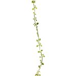 Konstgjord girland Muehlenbeckia JIAMIN, grön, 240cm