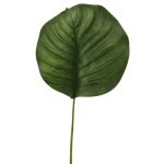 Konstblad Calathea Orbifolia ZICHEN, grönt, 45cm