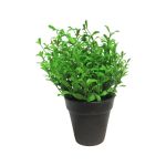 Dekorativ ört timjan MASHUO i dekorativ kruka, grön, 17cm