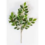 Konstgjord Ficus Benjamini-gren AJITH, grön-vit, 45cm