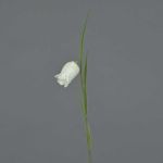 Dekorativ blomma, blåklocka LUXING, vit, 40cm, Ø3cm