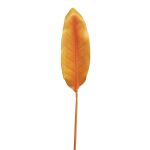 Dekorationsblad Strelitzia YISHAO, orange-rosa, 90cm