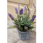 Textil-lavendel KIRSA i flätad korg, violett, 30cm, Ø1-2cm