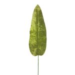 Sammetbananblad AOXUE, grönt, 70cm