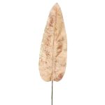 Sammetbananblad AOXUE, rosa, 70cm