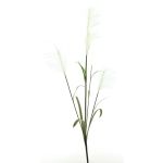 Konstgjord gren av pampasgräs LINEN med ax, vit, 145cm