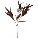Dekorativ eukalyptusgren YUZIMO med frön, vinröd, 80cm