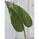 Konstgjort Zantedeschia-blad YELLA, grönt, 85cm