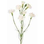 Konstgjord blomkvist, nejlika PIARA, vit, 60cm, Ø3-5cm