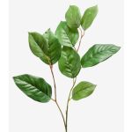 Dekorativ gren från äppelträd KONSTANTIN, grön, 75cm