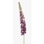 Stor konstblomma, stäppljus NITTI, violett, 130cm