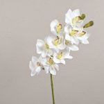 Konstgjord Cymbidium-orkidégren LANAKILA, vit, 70cm, Ø9cm