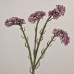 Konstblomma strandflieder AYISHA, torkad look, ljusvioletta, 65cm, 3,5x6cm
