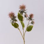 Konstgjord färgkardisblomstergren VALDISOLI, torkad look, gammaldagsrosa, antikrosa, 55cm