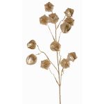 Dekorativ Physalis-gren DUGONG med frukter, guld, 90cm