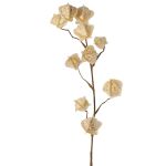 Konstgjord Physalis-gren AINOS, frukter, glitter, krämfärgad, 80cm