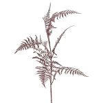 Dekorativ Asparagus plumosus-gren GIONA, mörkröd, 85cm