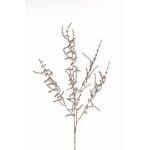 Konstgjord Asparagus acutifolius-gren PARNASO, guld, 100cm