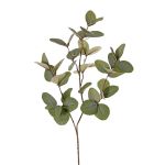 Konstgjord eukalyptusgren EMMENDA, grön, 80cm