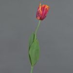 Konstblomma papegojatulpan UAKARI, röd-cerise-orange-grön, 65cm, Ø6cm