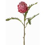 Konstgjord protea BREGANSA, gammaldagsrosa, antika cerise, 65cm, Ø7cm