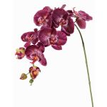 Dekorativ gren med Phalaenopsis-orkidé WESA, mörkviolett-vit, 90cm, Ø11-12,5cm