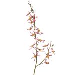 Konstgjord Cattleya-orkidégren TRASSA, violett-vit-gul, 80cm, Ø4-8cm