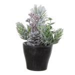 Dekorativt arrangemang med gran, humle, vinterbär VIANNO, snöklädd, dekorativ kruka, grön-vit, 14cm, Ø11cm