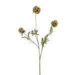 Dekorativ gren, stjärna, Scabiosa RANIK, grön, 70cm