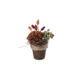 Konstgjord blomsterarrangemang med dahlior, nypon och druvor MUSAN, dekorativ kruka, röd-orange-grön, 10cm, Ø7cm