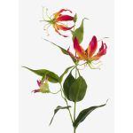 Konstblomma Gloriosa FUJITA, cerise-gul, 80cm, Ø15cm