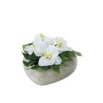 Konstblomsterarrangemang Phalaenopsis-orkidé, Rose DEON, dekorativ kruka, vit, 11cm, Ø18cm