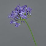 Dekorativ konstblomma Agapanthus PHILINA, lila, 75cm, Ø14cm