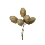 Dekorationsgrönsak potatis THAO med tråd, 6 st, brun, 3,5cm, Ø2,5cm