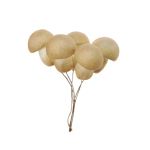 Dekorationsgrönsak svamp THAYET med tråd, 6 stycken, beige, 4,5cm, Ø3,3cm