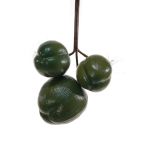 Dekorationsfrukt kokosnötter TIHANA, 3 st, gröna, 30cm, Ø25cm