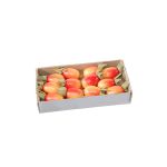Dekorationsfrukt nypon ZENNY med tråd, 12 st, röd-orange, 3cm, Ø2cm