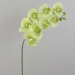 Konstgjord blomkvist, Phalaenopsis-orkidé AURELIA, krämgrön, 95cm, Ø9-11cm