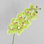 Konstgjord Phalaenopsis-orkidégren OPHELIA, grön-cerise, 100cm, Ø9-12cm