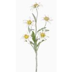 Konstgjord alpsk edelweiss SOPHIA, vit, 40cm, Ø5-6cm