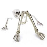 Halloween-dekoration skelettdelar ADALBERT med 5 markpinnar, 19cm, 45cm, 66cm