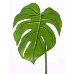 Konstgjort Philodendron Monstera Deliciosa-blad LANDER, 55cm
