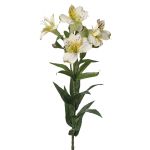 Dekorativ kvist Inkalilie AUBERTA, vit-grön-röd, 75cm, Ø6cm