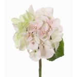 Konstgjord hortensia CHIDORI, krämfärgad-rosa-grön, 30cm, Ø13cm