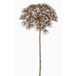 Konstgjord björnklöve ANSARI, torkad look, brun, 80cm, Ø22cm