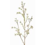 Konstgjord vaxblomma NIANG, krämfärgad, 80cm, Ø1,5-2,5cm