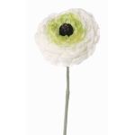 Konstgjord ranunkel ALIMA, krämgrön, 35cm, Ø8cm
