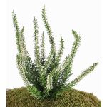 Konstgjord ljung IMKE på sticka, krämfärgad, 25cm, Ø1cm